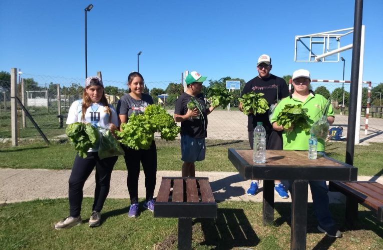 El Taller de Huerta del NIDO cerró sus actividades del año 2019