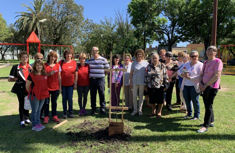 El Centro de Jubilados Provinciales plantó un árbol en conmemoración por los 70 años de la Federación