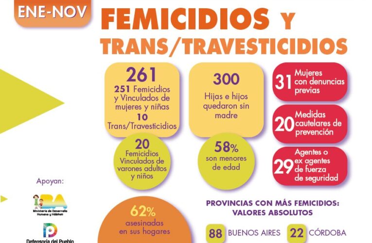 En Argentina se cometieron 251 femicidios de enero a noviembre de 2021