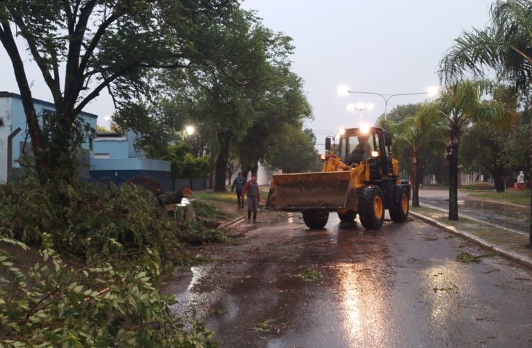 Las tormentas generaron destrozos en distintas zonas de la ciudad