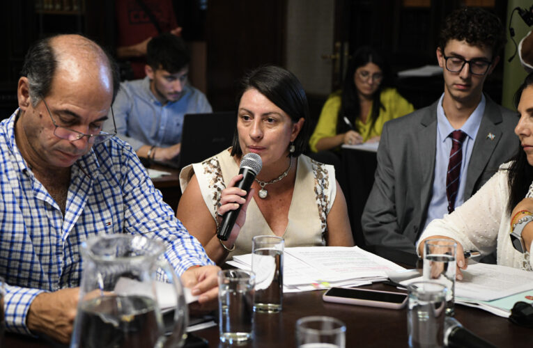 Continúa el debate del proyecto de reiterancia delictiva