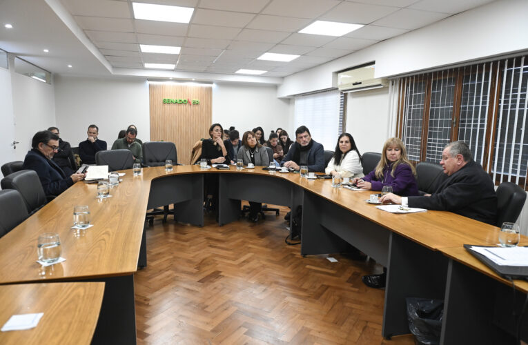 Se constituyó la Comisión Bicameral de Derechos Humanos y se designó a sus autoridades