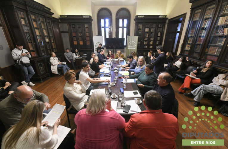 Cámara de Diputados: se unifican los proyectos que proponen reformar la Ley Orgánica de Municipios y se recibirán aportes