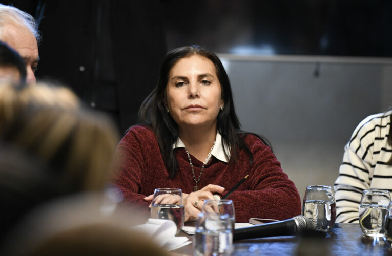Buscan modificar el régimen de licencias por adopción de los empleados públicos